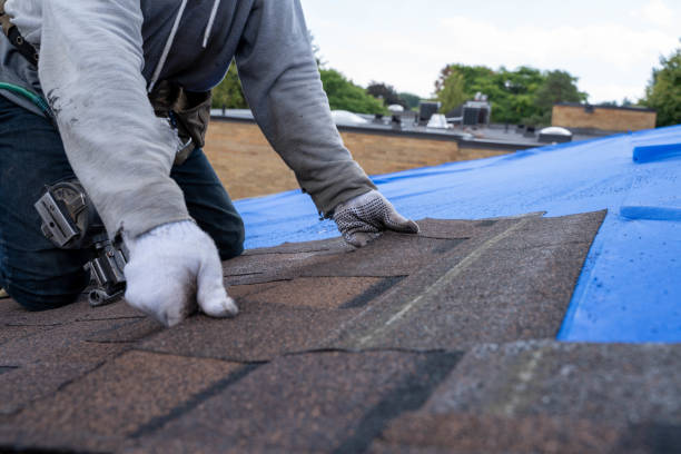 Best Residential Roof Replacement  in Bluff City, TN